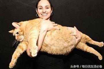 冬天拒绝臃肿瑜伽塑形,冬天拒绝身材臃肿