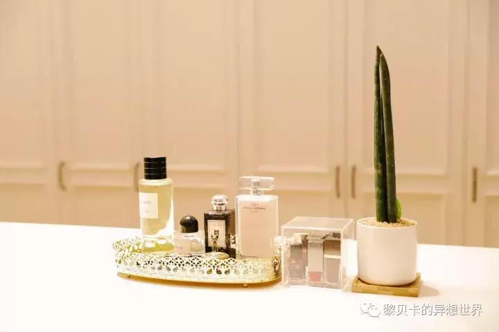 小户型衣帽间浴缸一体,浴缸衣帽间装修10平方米