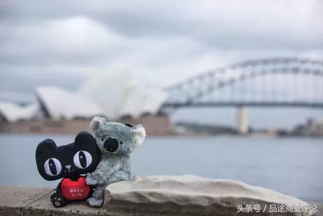 澳洲掘金双十一：你们买买买，谁在赚赚赚
