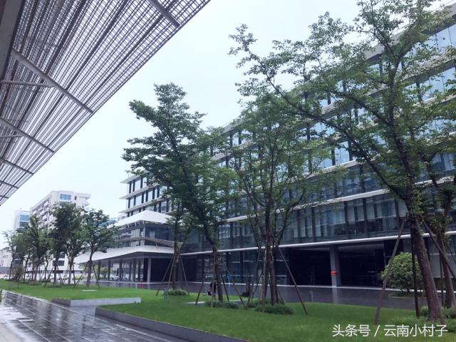 支付宝淘宝天猫怎么样,淘宝天猫品牌直营店是正品吗