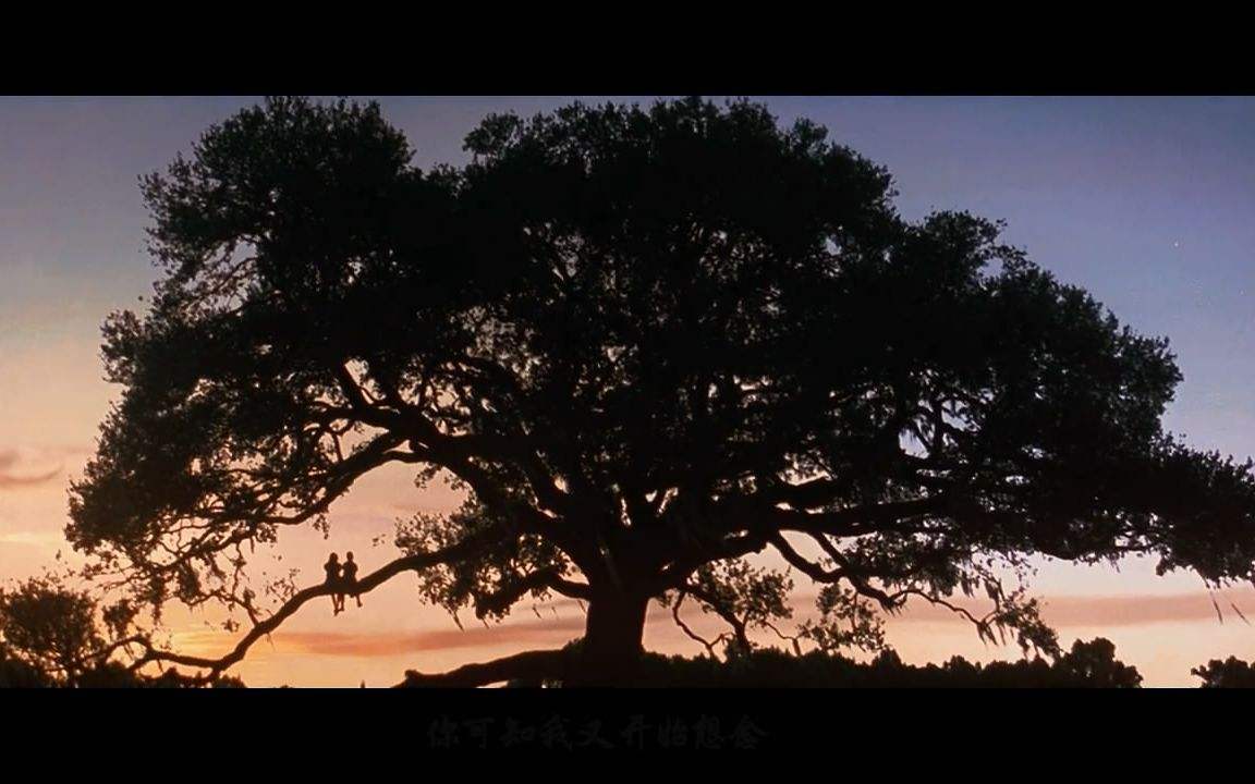 apromiseisapromise是俚语吗,欧美经典电影阿甘正传免费