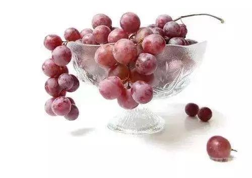 测一测你家狗能活多久!