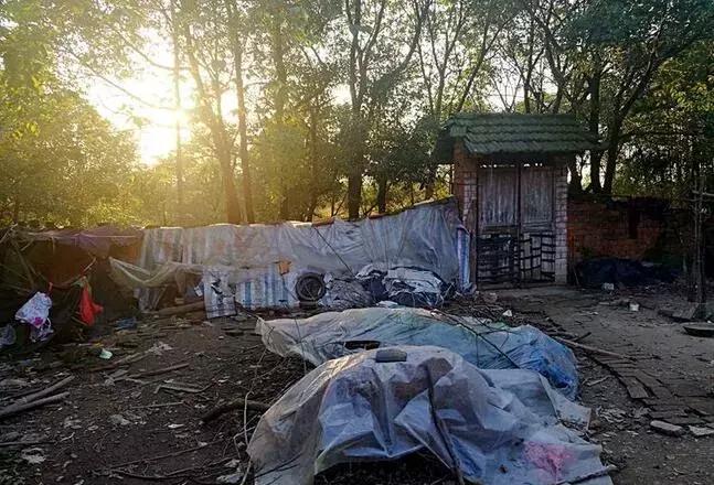 12岁男生突发糖尿病去哪家医院治,14岁男孩得了糖尿病怎么办