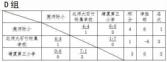 东莞中小学生校园足球联赛,东莞市南城第19届小学生足球比赛