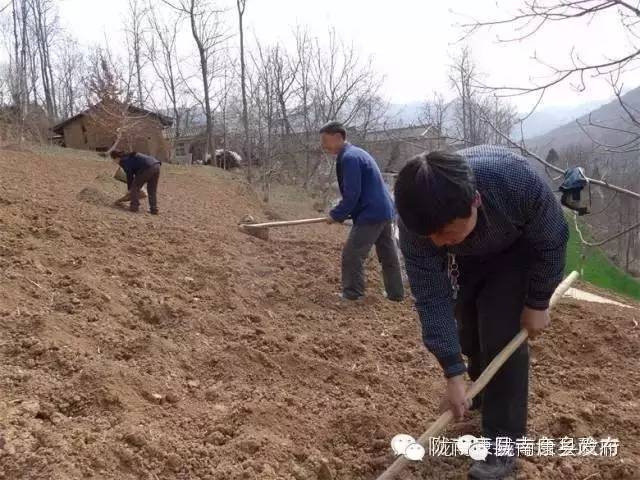 农资保障春耕备播安全有序,春耕备耕市监局强化农资市场监管