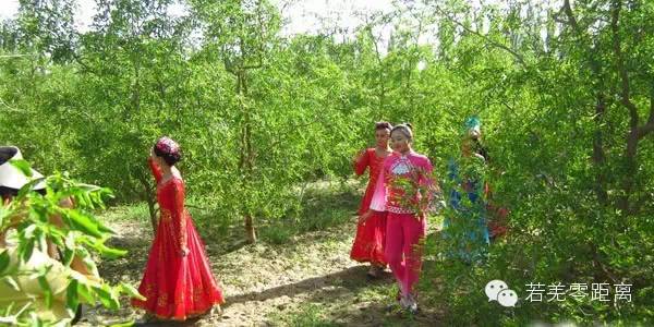 新疆若羌红枣特点,若羌红枣列入农产品地理标志