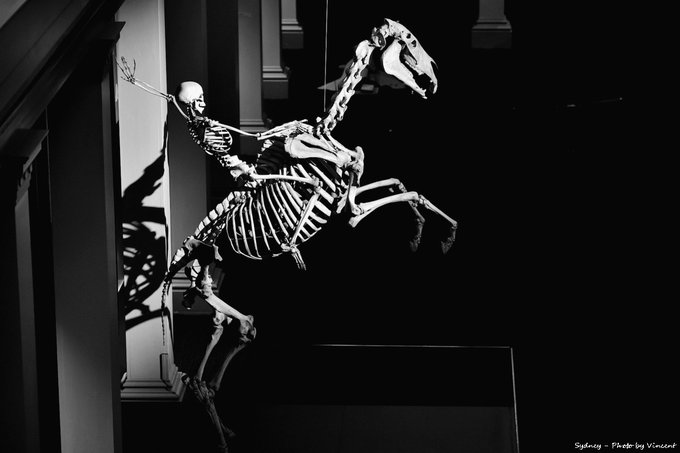 悉尼亲子游记,悉尼游记