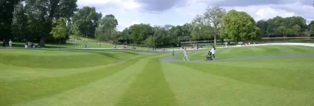 好的景观草坪,天然草坪推荐