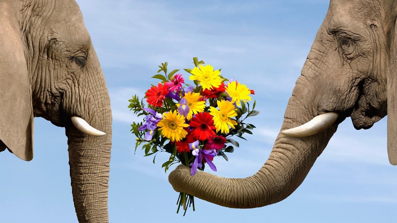 那些听着很好笑实际很悲伤的故事,愚人节的玩笑也可以是真的