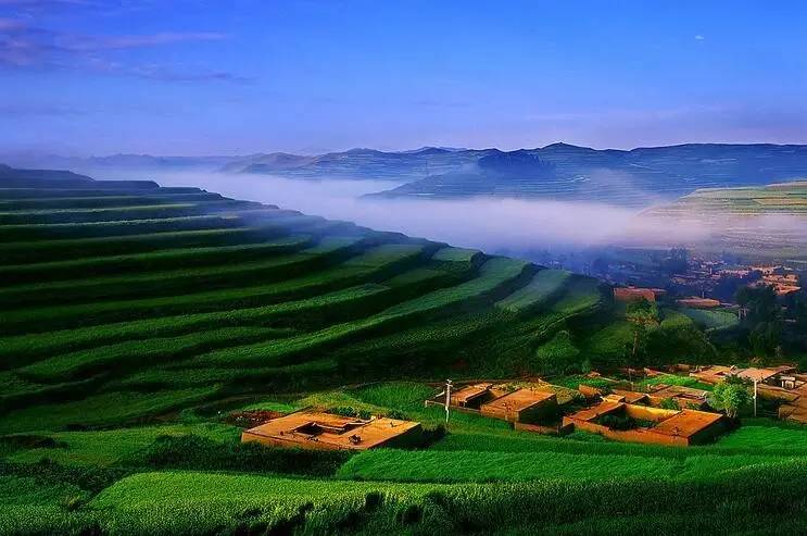 原创｜重新定义乡村旅游营销策略——8P