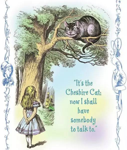 英国短毛猫常见的7种毛色,英国短毛猫在猫界是怎么样的