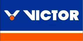 公认的十大羽毛球牌子,什么牌子的羽毛球拍又好又耐打