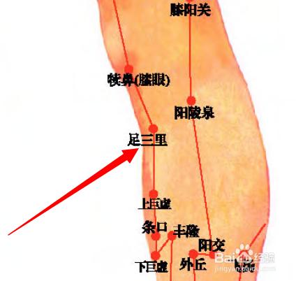 前列腺艾灸灸哪些穴位,肠胃不舒服艾灸灸哪些部位