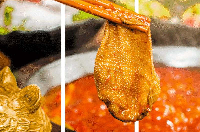 真·霸气十足！火爆成都的KENZO“虎头锅”现身五大道！雄！柒！