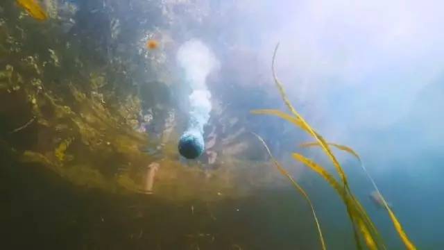 钓友福利打窝必备,钓鱼神器新型仿生鱼饵能钓一年