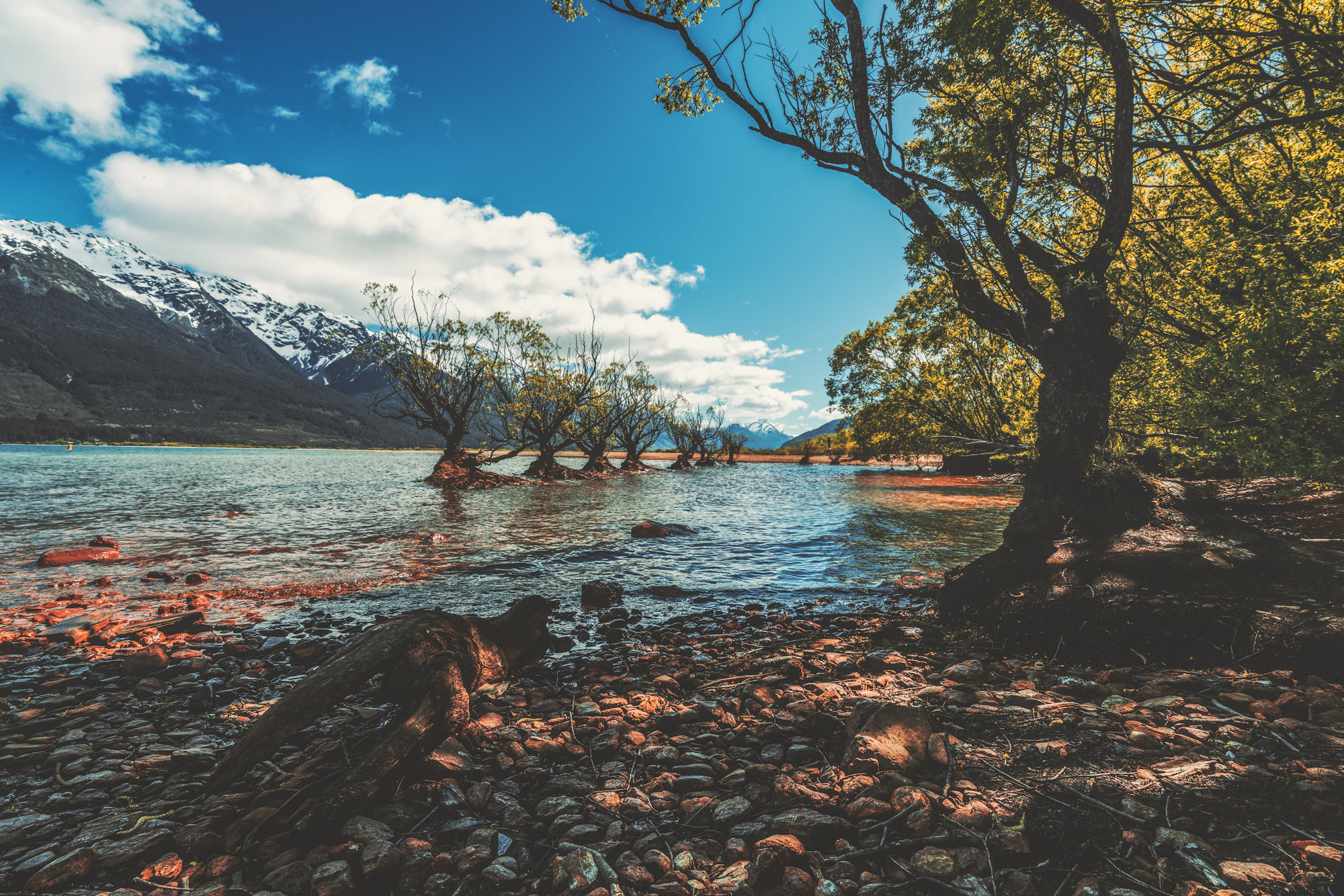 纽约时报全球50个必去之地,纽约时报最佳旅游省份
