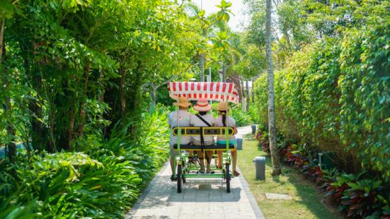 三亚必买10件礼物,三亚免税城购物攻略