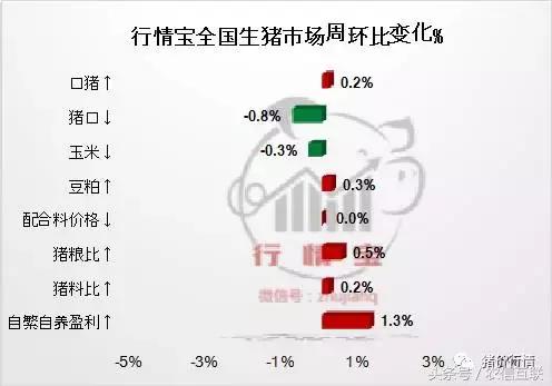 养猪一年能赚多少钱,2019年养猪挣500亿