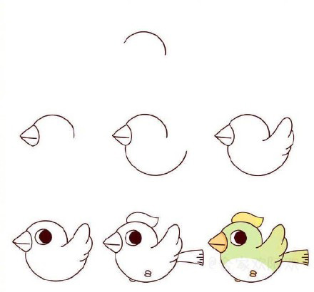 十种鸟类简笔画你看过吗?孔雀鸵鸟猫头鹰都在这里,快收藏教孩子