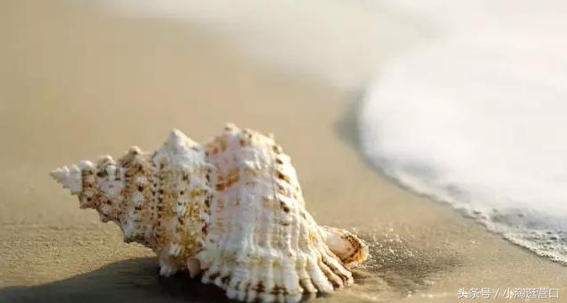 营口最美的风景,营口最美十大旅游景区