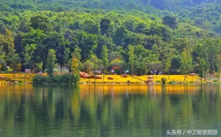 再过9天，中卫人就能休假133天！然而除夕前一天竟然是……