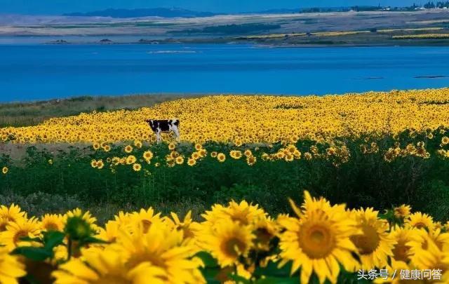 用了很多护肤品就是没改变,用了许多护肤品不用会怎么样