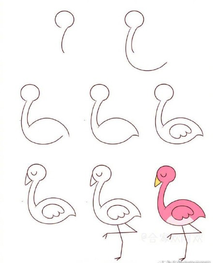 十种鸟类简笔画你看过吗?孔雀鸵鸟猫头鹰都在这里,快收藏教孩子