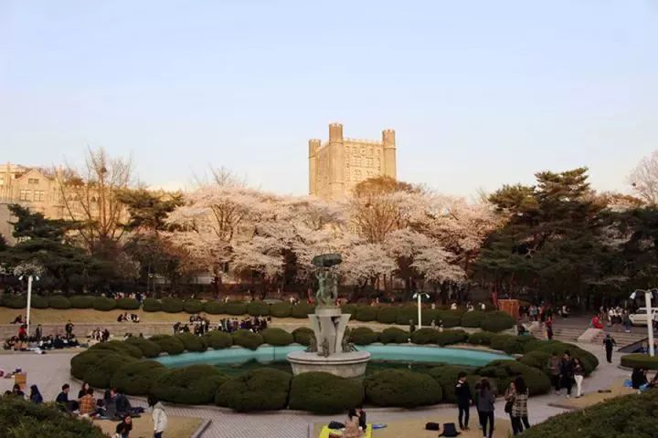最浪漫韩国济州岛旅游攻略,济州岛浪漫幻境