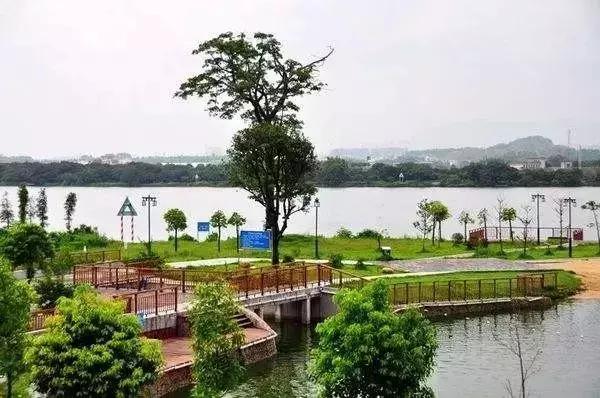 别再跟我说“母鸡”去哪玩！广州48个一日游免费景点推荐！