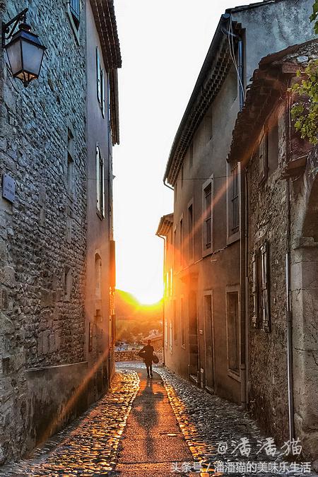 来自普罗旺斯的薰衣草,普罗旺斯薰衣草的味道