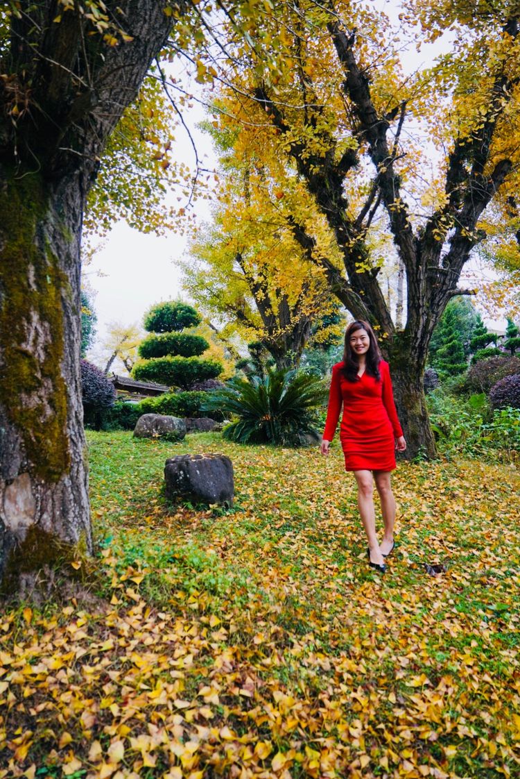 温州的春天有哪些特点,温州春夏秋冬