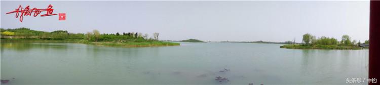 陪伴孩子的野餐,周末家庭式野餐陪伴家人