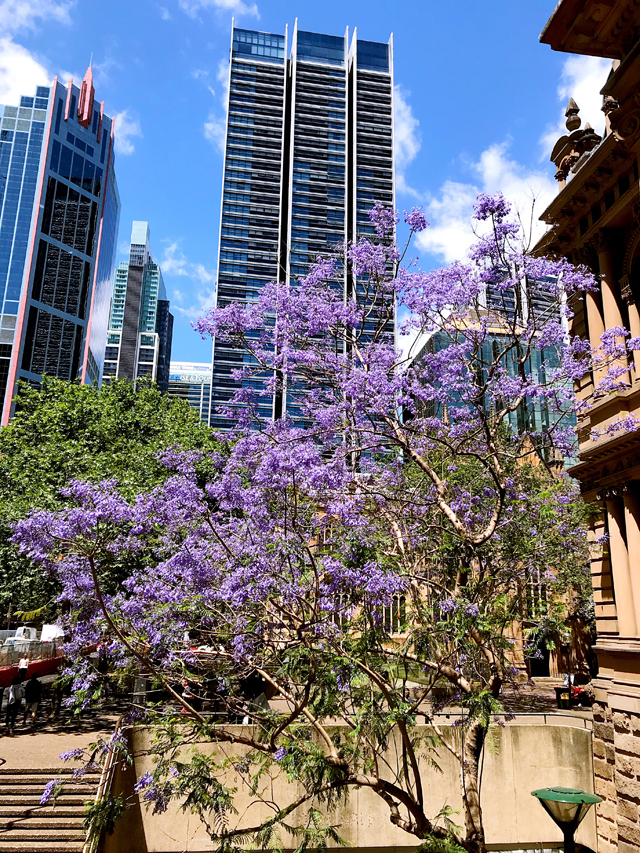 2019涓境鏂囧寲鑹烘湳涔嬪,涓境鏂囧寲鑹烘湳涔嬪
