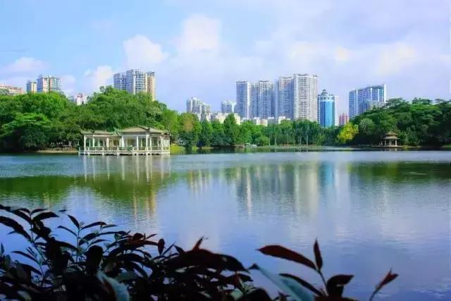 别再跟我说“母鸡”去哪玩！广州48个一日游免费景点推荐！