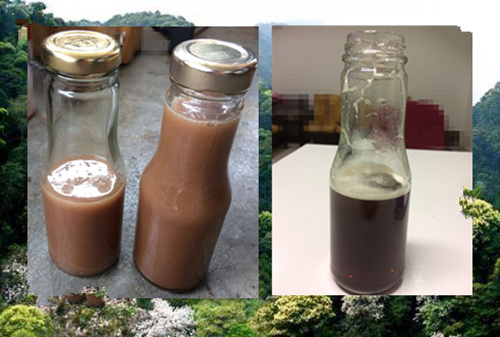 这“黑飞蚁”也叫蜜蜂，所有养蜂人都醉了