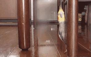 缃戠孩鐑棬娈靛瓙杩戞湡鎺ㄨ崘,缃戠孩鐑棬娈靛瓙鎺ㄨ崘