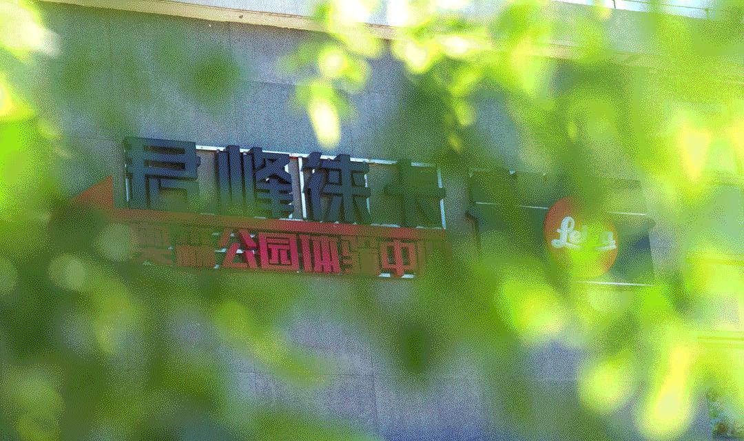 新婚,老婆没有要钻戒,买了一台徕卡