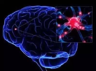 脑胶质瘤靶向药有哪些,脑干弥漫中线胶质瘤靶向药物