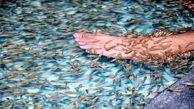 宁波东钱湖二灵山温泉酒店,东钱湖旅游度假区温泉