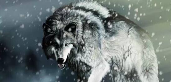 拳皇特瑞为什么没有旋风拳,拳皇中特瑞是什么地位