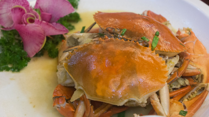 福鼎台山岛吃住行攻略,福鼎吃住行方便的地方