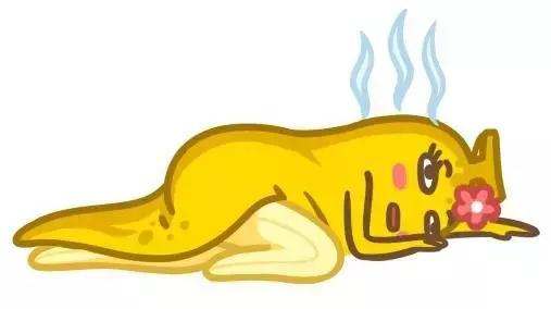 00后在用Lamer？而我们80后在靠这些养生*法大**修仙