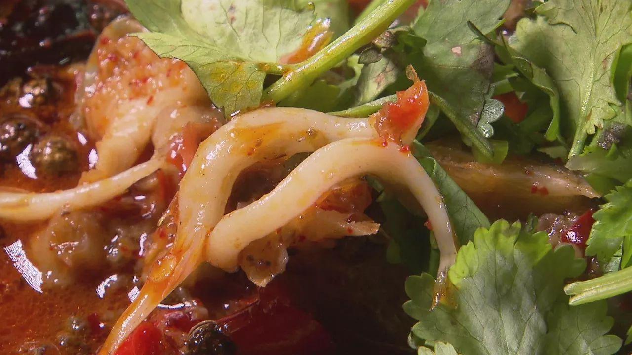 不用网不用钩就能捕到鱼？答案就在这里