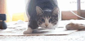 倒计时43天！武汉首条高富帅专列地铁下月就要通车啦！