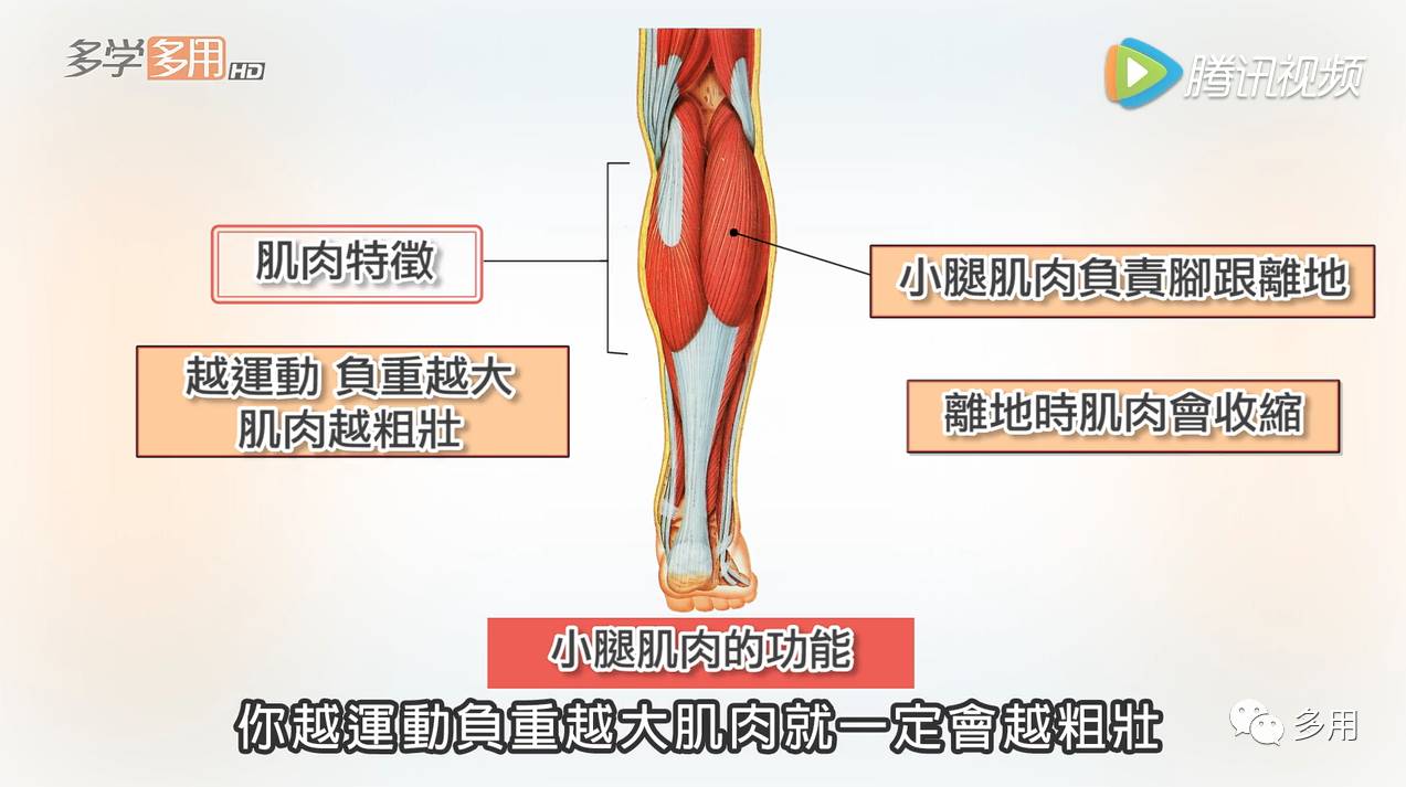 全身都瘦就大腿粗怎么办,双腿太粗怎么瘦下来