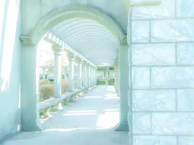 仙桃一中高二学费,仙桃一中全省排位