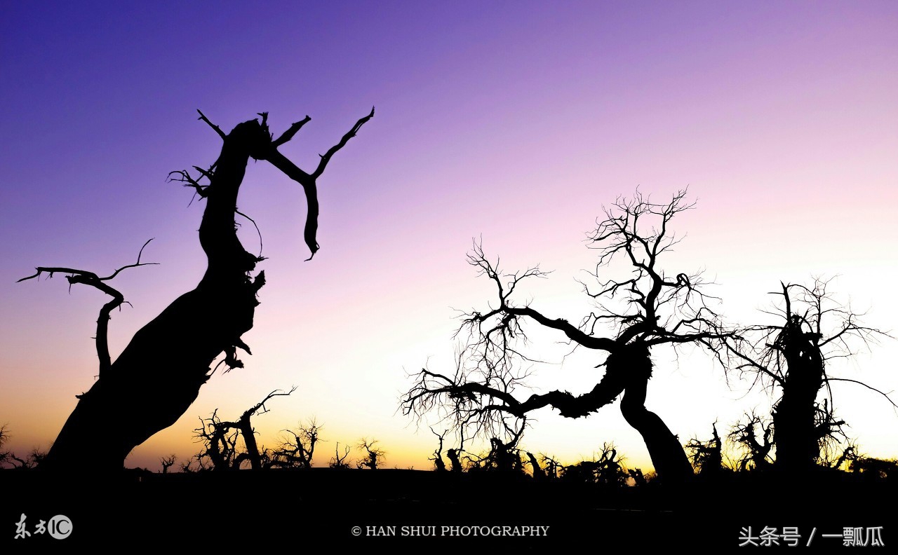 正能量王军视频,正能量足球励志