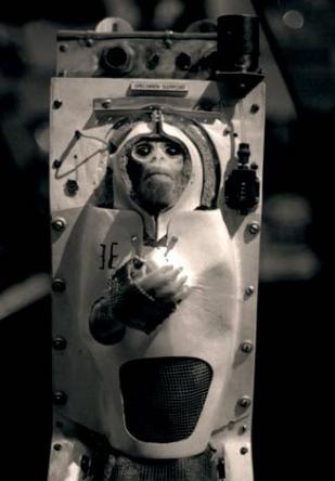 十种曾到过太空的动物,中国有哪些进入太空的动物