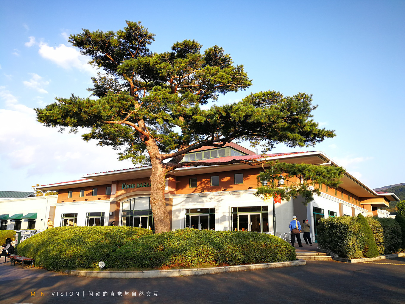 去东京玩用什么攻略,东京攻略东京