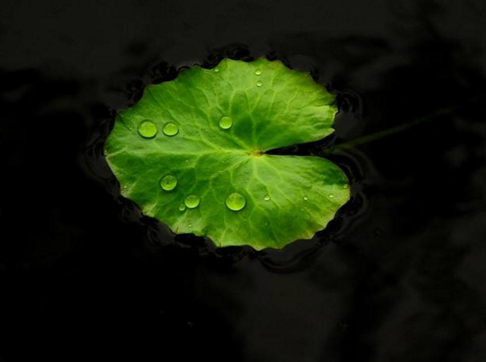 做人一定要提防小人,做人要小心谨慎